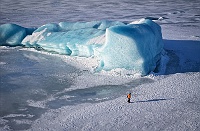 Andrew and Iceberg 2